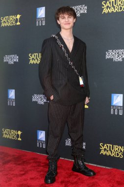 Cameron Crovetti, Saturn Ödülleri 'nde 2 Şubat 2025' te Universal Hilton Oteli 'ne geldi.