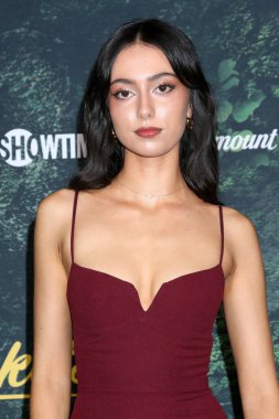 Anisa Harris at the Yelllowjackets Season 3 Premiere at Directors Guild Theater on February 13, 2025 in Los Angeles, CA clipart