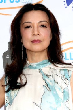 Ming-Na Wen, Lupus Los Angeles 'ta 27 Nisan 2025' te Vibiana 'da bir amaç uğruna.
