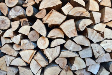 A huge woodpile made by a lumberjack