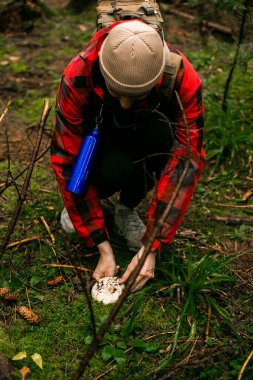 Erkek eli çimenlerin üzerinde yeni toplanmış bir mantar tutar. Yakın plan. Üst Manzara. Ormanda mantar topluyorum..