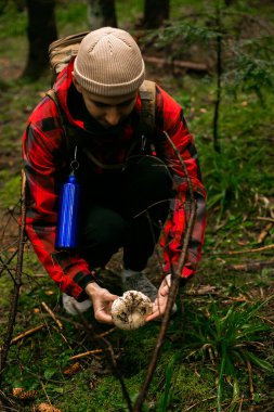 Erkek eli çimenlerin üzerinde yeni toplanmış bir mantar tutar. Yakın plan. Üst Manzara. Ormanda mantar topluyorum..