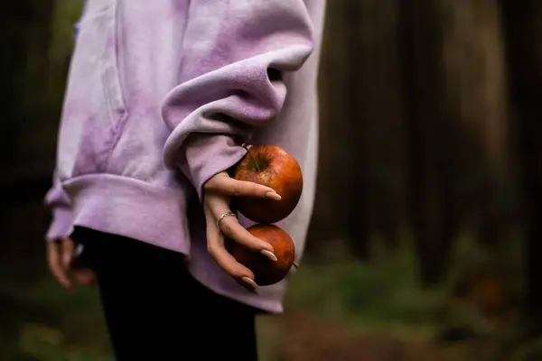 female hands holding an apple tree brunch red apple in forest