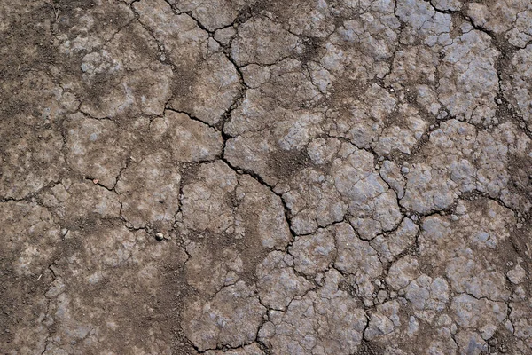 乾燥地球のテクスチャ 天気または気候の変更背景として自然に乾燥する季節の間に耕地土壌におけるき裂の泥 — ストック写真