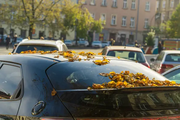 도시의 가을에 도시의 거리에 자동차의 창문에서 황금색 낙엽의 자동차 — 스톡 사진