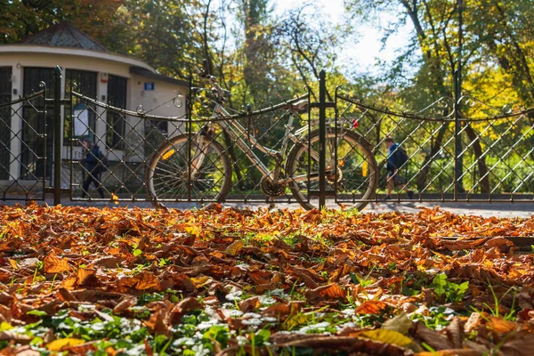 秋天的落叶后面 公园里金属栅栏附近有一辆自行车 背光的阳光 秋天的街道上 背景画面 — 图库照片