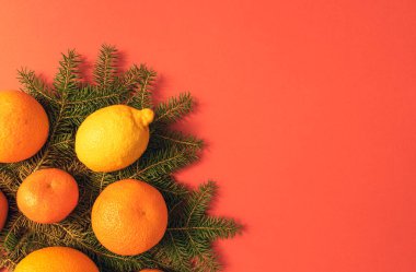 Noel 'de portakallar, mandallar, mandalinalar, mandalinalar, kırmızı arka planda yeşil kozalaklı bir dalda limon, Yeni Yıl tebrikleri için minimalist bir desen, kopyalama için bir yer, düz bir yatak.