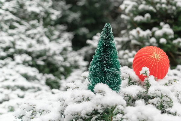 Mała Zielona Choinka Gałęziach Zielonego Thuja Pokrytego Puszystym Śniegiem Czerwoną — Zdjęcie stockowe