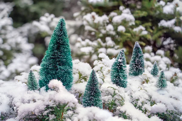 Małe Zielone Choinki Zielonych Gałęziach Thuja Pokryte Puszystym Śniegiem Pokryte — Zdjęcie stockowe