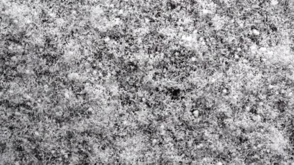 Vedere Aproape Imagini Secvenţe Video Textură Spumantă Zăpadă Proaspătă Care — Videoclip de stoc