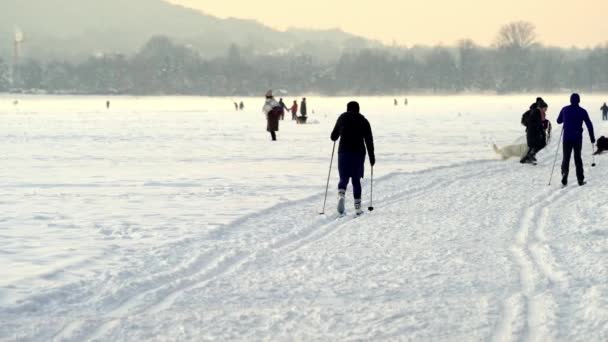 Frosty Winter Evening Townspeople Skiing Sledding Walking Dogs Winter Activities — Stock Video