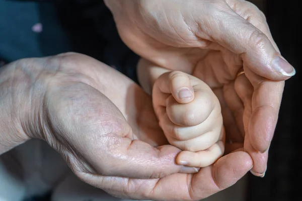 Children's hand in the open palms of the grandmother, the concept of kinship and continuity of generations, the hands of an elderly woman carefully hold the hand of child, care and love, wonderful age