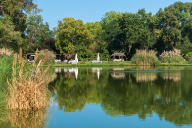 Göl kenarında mükemmel bir tatil, güneşli bir yaz gününde ağaçların ve mavi gökyüzünün yansımaları, yeşil sahilde beyaz plaj şemsiyeleri ve sandalyeler, güzel simetrik doğal arka plan.