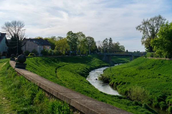 River flowing through lush green urban area, Krakow city, spring evening, curvilinear city architecture, spring early morning, sustainable development in unity with nature