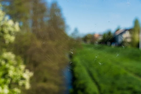 手前の背景に家と青い空が見える芝生の写真 春の橋からの眺め 小さな川 神経網 空中絹 現実的な写真 — ストック写真