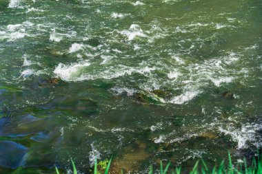 Yeşil bir nehrin doğal güneş ışığı, çalkalanma, beyaz su akıntıları, güncel enerji, fırtınalı su dokusu. Ekolojik sanat, hızlı su akışının doğal arka planı