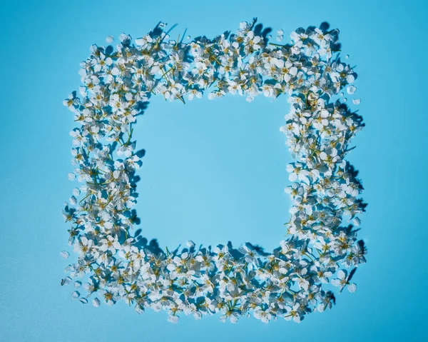 花的排列带有文字的空间 蓝色圆圈被小白花环绕 液体模仿 鸟类樱花 平坦的布局 复制的空间 客观的抽象 — 图库照片