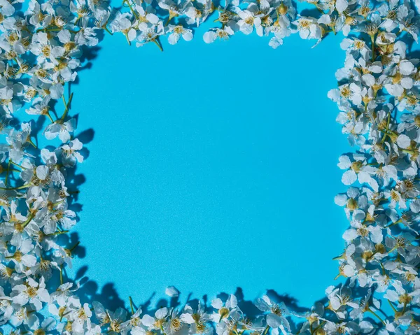 花形正方形 有文字空间 蓝色正方形 四周环绕着小白花 流线型模仿 鸟类樱花 平摆设 复制空间 客观抽象 — 图库照片