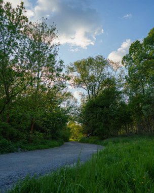 Toprak yol uzun çimenler ve ağaçlarla çevrili, güneş ışığı ve gölgeli alanlar yaz, bahar ve yaz başında, garaj yolu, bağlılık ve denge doğada, yürüyüş ve bisiklet alanında