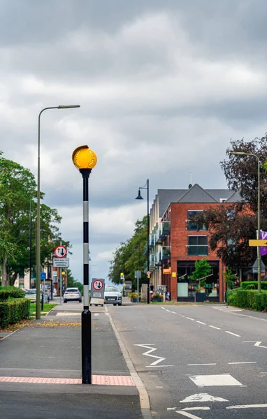 Yellow pedestrian crossing traffic light, street lighting poles, overcast sky, green trees, English road. Warns road users of pedestrian crossing. Flashing light. Linear perspective. Vertical crop.