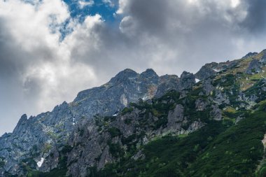 Arkaplanda yemyeşil bir orman kayalık bir dağ ile çevrilidir. Görkemli dağ zirvesi bulutların üzerinde yükselir. Ağaçlar ve kayalık dağ arasındaki zıtlık çarpıcı bir etki yaratıyor.