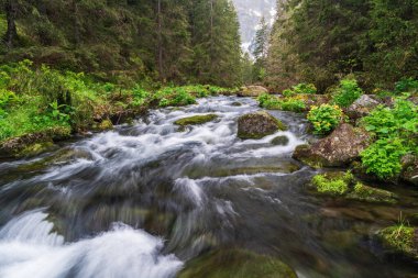 Dağ nehri kayalar ve beyaz suyla yeşil bir ormanın içinden akıyor. Pürüzsüz ve ipeksi bir etki yaratan uzun pozlu fotoğrafçılık. Doğa, rahatlama ve meditasyon teması için kavram