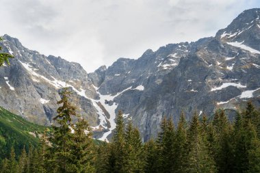 Polonya Tatras Ulusal Parkı 'ndaki karlı dağ manzarası. Canlı yeşil ağaçlar beyaz tepeler ve bulutlu gökyüzü ile tezat oluşturur. Bu fotoğraf doğanın ve seyahatin güzelliğini ve macerasını yakalar.