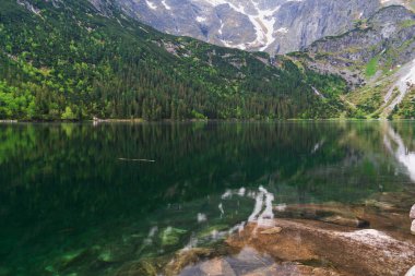Polonya 'nın Tatra Ulusal Parkı' ndaki Morskie Oko gölünün çarpıcı manzarası. Göl dağlarda yuva yapmış ve etrafındaki tepeleri ve ağaçları yansıtmaktadır. Bu görüntü doğa ve seyahat için mükemmel.