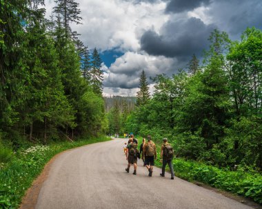 Bulutlu bir günde, Polonya Tatras Ulusal Parkı 'ndaki ormanın dolambaçlı yollarında sırt çantalı turistler yürüyüş yapıyor. Yürüyüş, doğa, macera ve seyahat kavramı