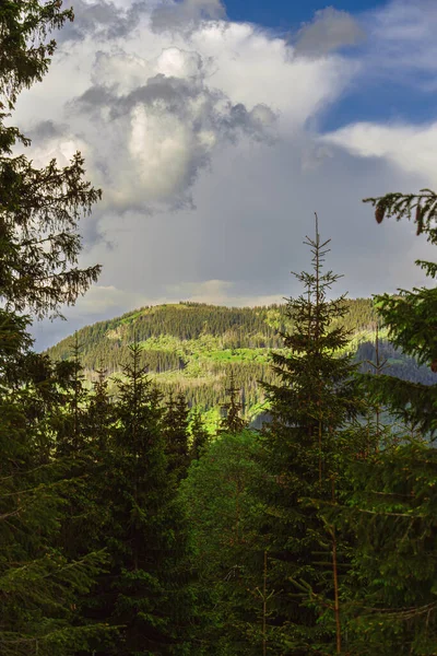 Hoog Uitzicht Een Groen Berglandschap Met Een Blauwe Bewolkte Lucht — Stockfoto