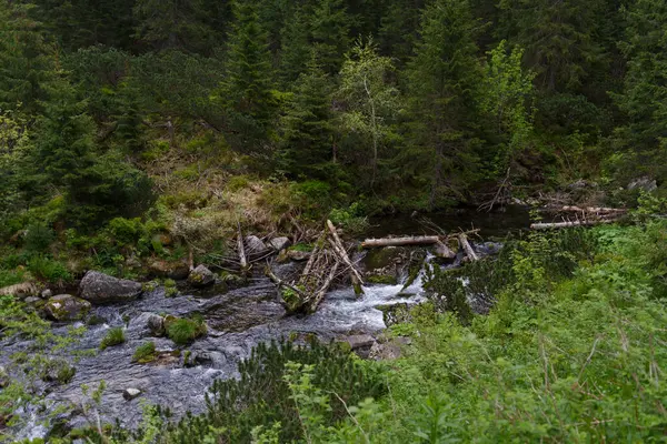 Ένα Ορεινό Ποτάμι Ρέει Γρήγορα Μέσα Από Περιελίξεις Βρύα Βραχώδες — Φωτογραφία Αρχείου