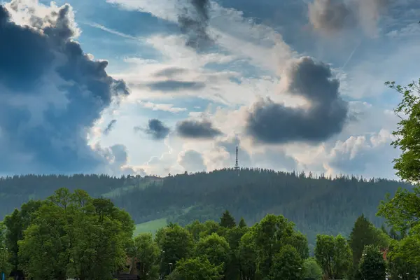 Landscape photograph with green trees in the foreground in a park in Zakopane, Poland, and a wooded mountain with a communications tower in the background. The sky is cloudy. Travel concept
