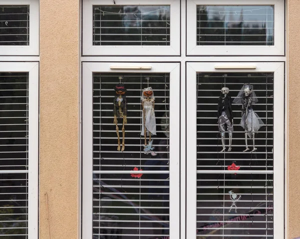 Skeleton figures among autumn leaves on a window adorned with white blinds. Ideal for Halloween, party, or humorous themes