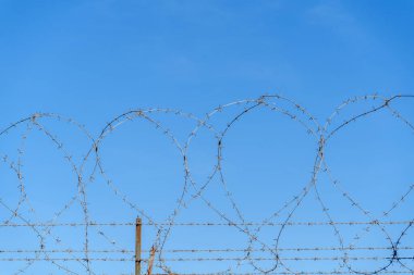Mavi gökyüzüne karşı dikenli tel örgü. Güvenlik, hapis ya da koruma kavramı