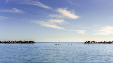 Yüzen martılarla dolu sakin bir deniz manzarası, sakin sular, açık mavi gökyüzünün altında beyaz bulutlu uzak bir tekne, sakin temalar ve yaz tatilleri için ideal.