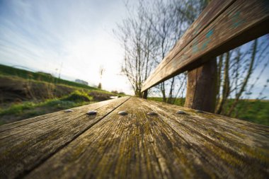 Huzurlu bir parkta yemyeşil bir ağacın gölgesinde taşralı ahşap bir bank oturuyor..