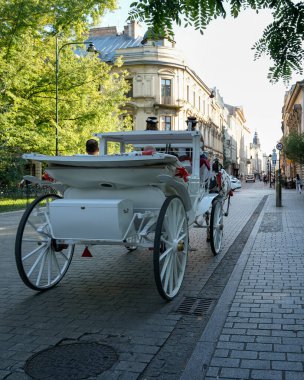 Tarihi bir Avrupa şehrinin kaldırım taşı sokağında beyaz bir at arabası. Bu geleneksel ulaşım şekli. Seyahat, turizm ve tarih temalı projeler için ideal