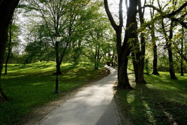 Güneşli yol, olgun ağaçlar ve eski sokak lambalarıyla kaplı yerleşik şehir parkı manzarası boyunca kıvrımlı. Huzurlu doğa ayarı yürümek ya da sessizce düşünmek için ideal..