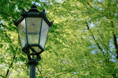 Süslü, klasik bir sokak lambası feneriyle şehir parkındaki bulanık yeşil bir yaprak döşeme arkaplanını kapat. Klasik tasarım tarihi atmosferi ve park cazibesini çağrıştırıyor