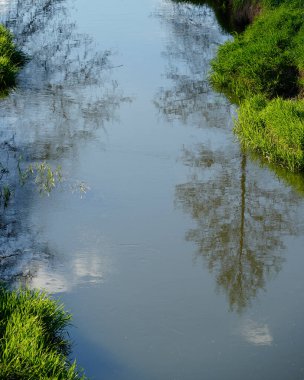 Yeşil otlarla çevrili bir nehrin sakin sularında ağaçların ve gökyüzünün yansımaları görülebilir.
