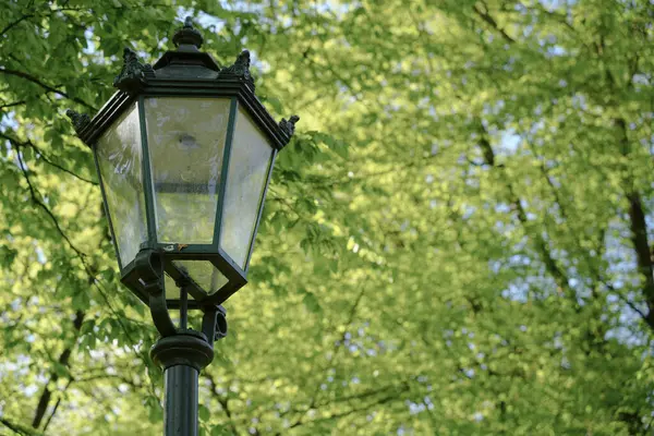 Süslü, klasik bir sokak lambası feneriyle şehir parkındaki bulanık yeşil bir yaprak döşeme arkaplanını kapat. Klasik tasarım tarihi atmosferi ve park cazibesini çağrıştırıyor