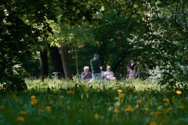 Bir grup insan güneşli bir parktaki ağaçların altındaki yeşil çimlerde dinleniyor. Bulanık bir yaşam tarzı fotoğrafı. Yaz tatili, arkadaşlık, topluluk toplantısı ve doğa keyfi.