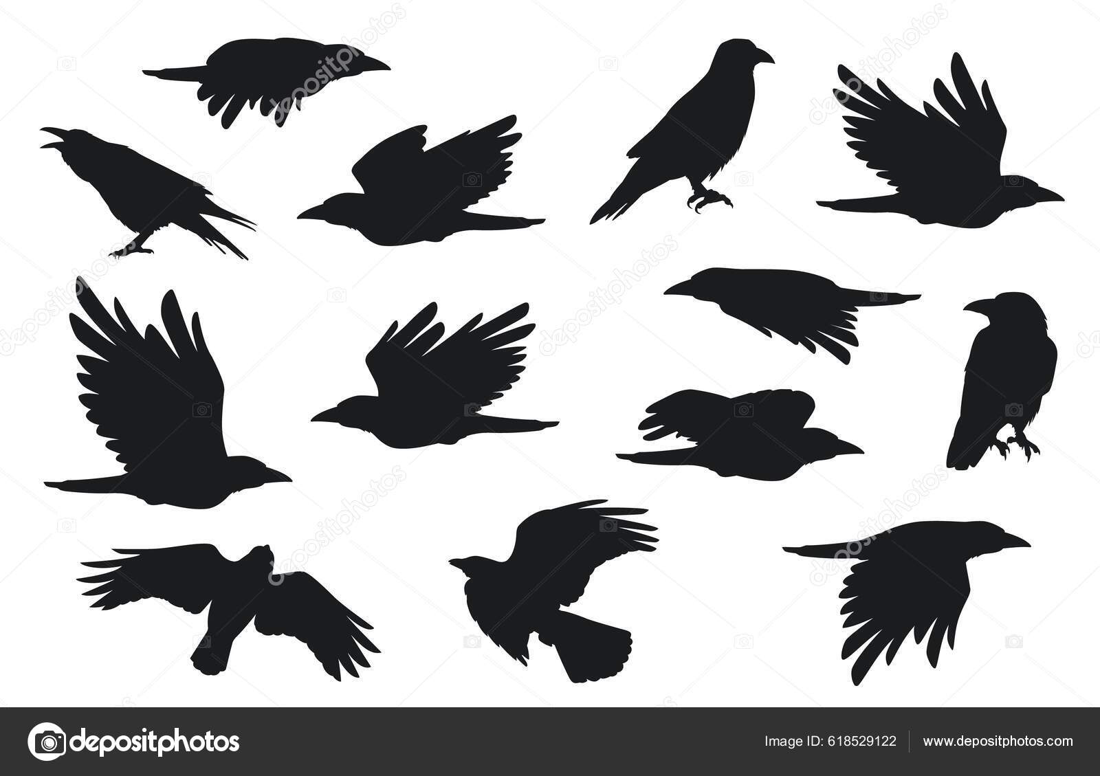 Crows Flying In Groups