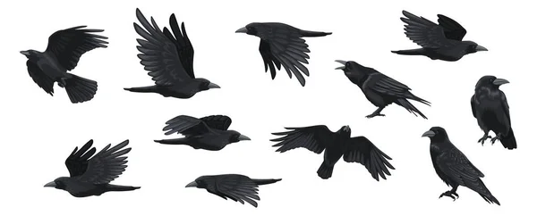 レイヴンセット 黒カラスのシルエット 黒鳥の異なるポーズロゴタトゥーデザインの野生動物のキャラクターアイコンを飛んでいます ベクトル分離コレクション 翼でなびく暗いゴシック鳥 — ストックベクタ