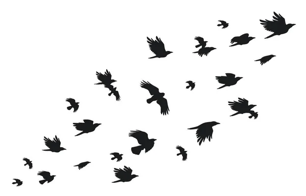 Hejno Vrán Létající Černí Ptáci Obloze Monochromaticky Třepetající Silueta Havrana — Stockový vektor