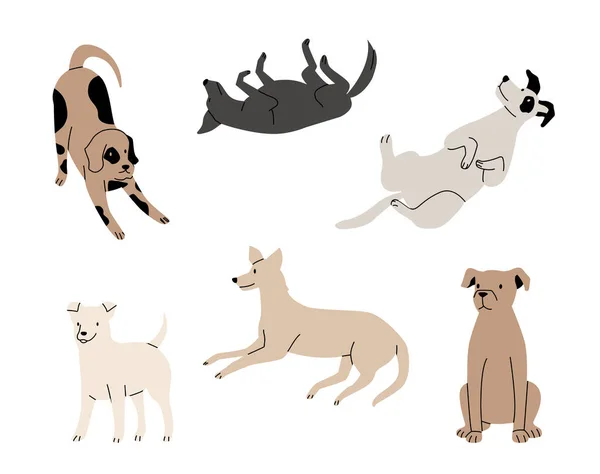 Cães Ativos Engraçados Diferentes Posições Animais Estimação Brincalhões Sentado Deitado —  Vetores de Stock