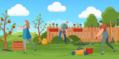 People working at garden. Woman collecting apples from tree into container. Man cutting grass with lawnmower, man planting seedlings with shovel and watering. Backyard with trees and flowers vector