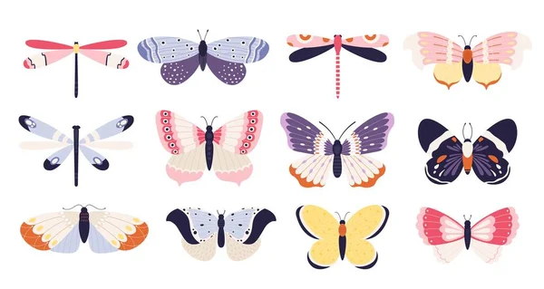 Cute Butterflies Collection Insects Colored Pattern Wings Illustration Butterfly Summer — Stock Vector