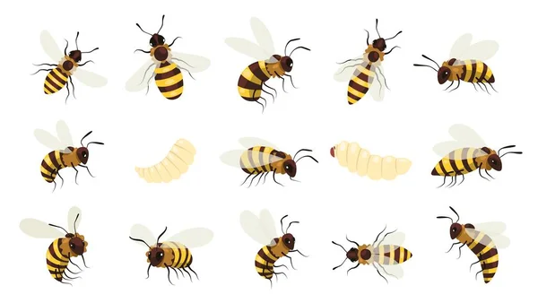 ミツバチの虫 翼のある話題は昆虫の飛行 縞模様のバンブルビーは 蜂の巣作りの概念を集めている バズ昆虫と蜂のイラストのベクトル漫画セット — ストックベクタ