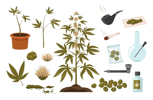 Narkotyki Marihuany Elementy Uzależnienia Konopi Haszyszu Palą Fajkę Liść Zielonego — Wektor stockowy